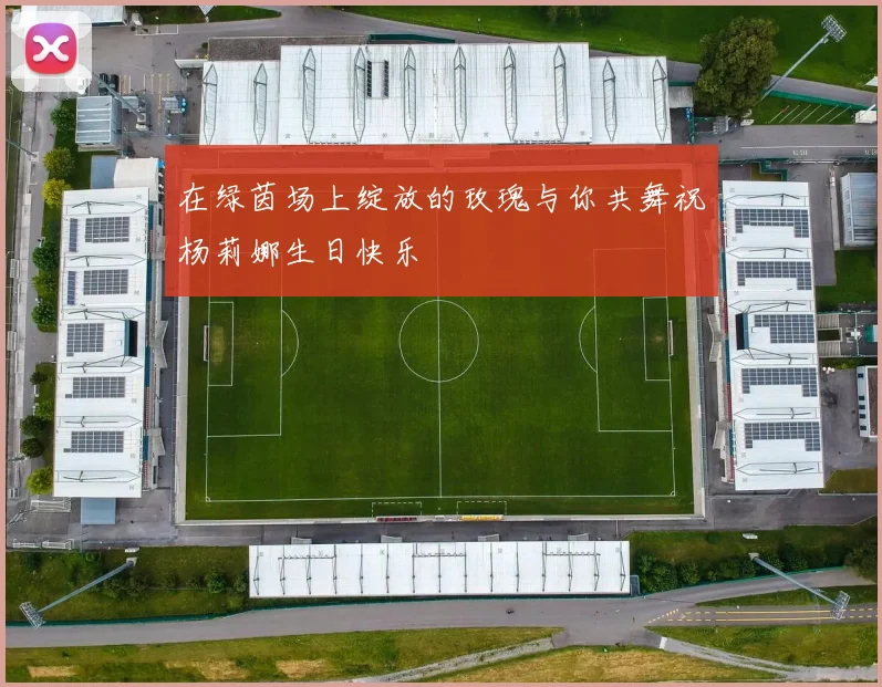 在绿茵场上绽放的玫瑰与你共舞祝杨莉娜生日快乐